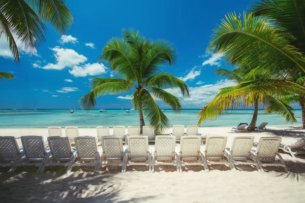 Letní Prázdniny Dovolené Moře Židlí Tropické Pláže Palmy Bílý Písek — Stock fotografie