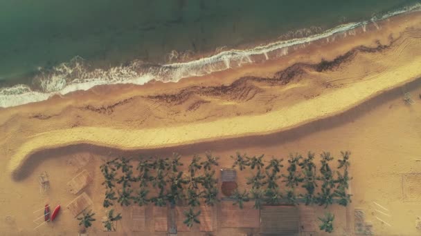 Vista Aérea Drones Marinos Olas Marinas Arena Playa Palmeras — Vídeos de Stock