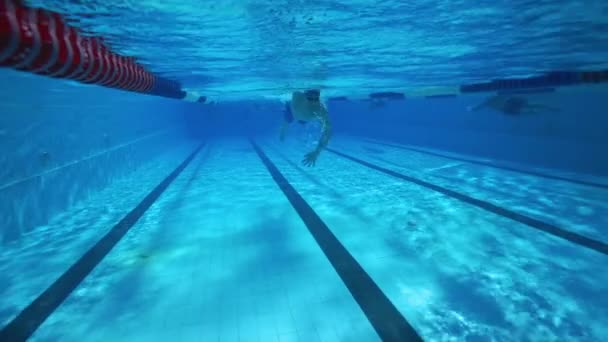 Unterwassertauchen Mann Schwimmt Klaren Poolwasser — Stockvideo