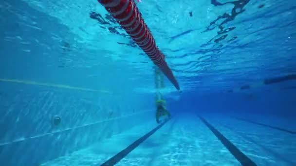 水下美丽的女人在清澈的游泳池里游泳 — 图库视频影像