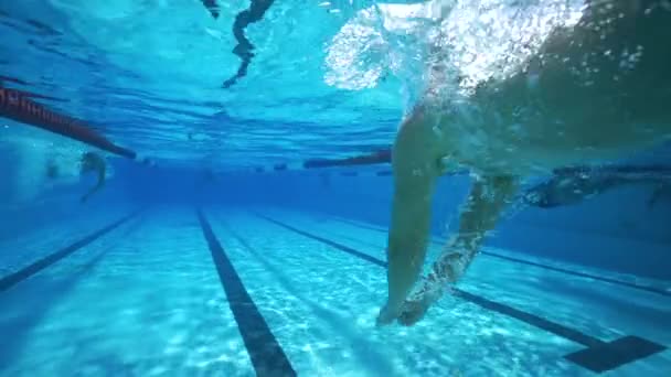 强壮的运动男子在清澈的水疗池水下游泳 — 图库视频影像