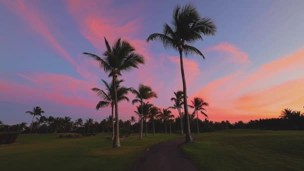 Pole Golfowe Tropikalnej Wyspie Piękny Zachód Słońca Palmami Sylwetki Wideo — Wideo stockowe