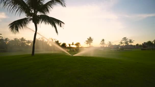 Campo Golf Spruzzatore Sul Fairway Durante Tramonto Dorato — Video Stock