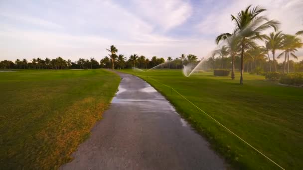 Aspersor Campo Golf Fairway Durante Atardecer Dorado — Vídeo de stock