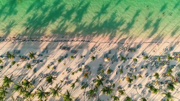 ヤシの木と白い砂浜とカリブ海のトロピカルビーチの空中ビデオ映像 ババロリゾートでの旅行や休暇 プンタ ドミニカ共和国 — ストック動画
