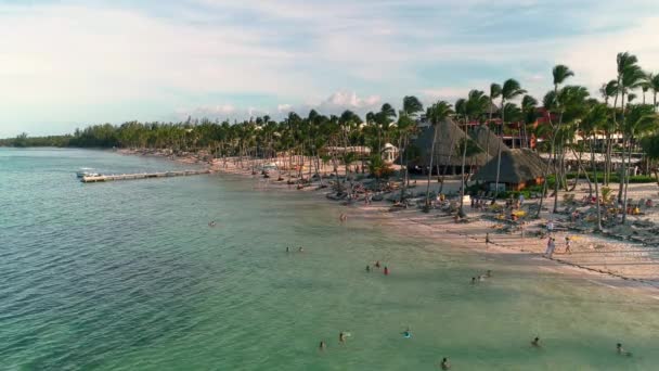 Vídeo Aéreo Playa Tropical Caribeña Con Palmeras Arena Blanca Viajes — Vídeos de Stock