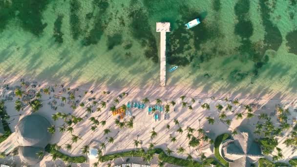 ヤシの木と白い砂浜とカリブ海のトロピカルビーチの空中ビデオ映像 ババロリゾートでの旅行や休暇 プンタ ドミニカ共和国 — ストック動画