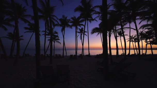 Hermoso Amanecer Sobre Playa Tropical Exótica Laguna Palmeras — Vídeos de Stock