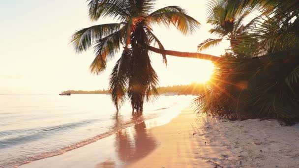 Hermoso Paisaje Playa Exótica Amanecer Vacaciones Tropicales Mar — Vídeo de stock