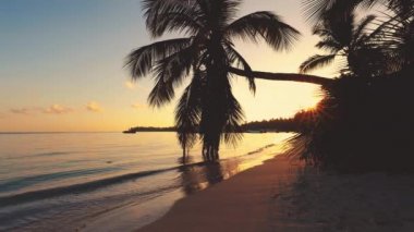Egzotik ada plaj ve hindistan cevizi palmiye ağaçları deniz gündoğumu. Yaz tatili.