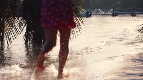 Follow Concept Young Woman Running Tropical Exotic Beach Summer Holiday — Stock Video