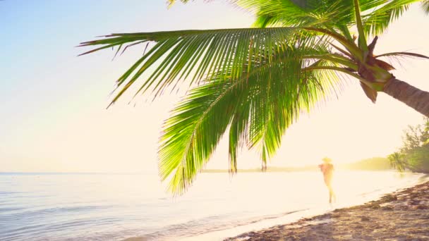 Nascer Sol Sobre Praia Tropical Ilha Palmeiras Punta Cana República — Vídeo de Stock
