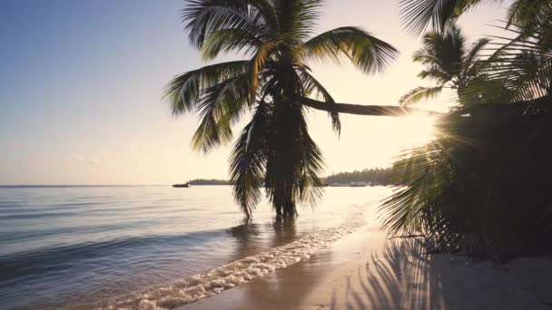 熱帯のビーチとエキゾチックなヤシの木のラグーンの上に美しい日の出 — ストック動画