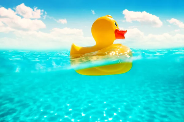 Rubber duckling floating in water. Yellow duck swimming in the sea.