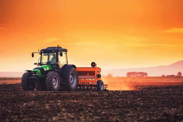 Pôr do sol bonito, agricultor em trator preparando terra com cama de sementes — Fotografia de Stock