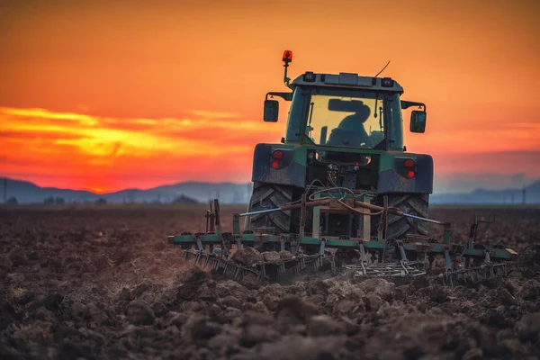 Vacker solnedgång, bonde i traktor förbereda mark med grogrund — Stockfoto