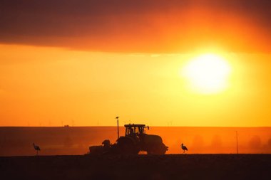 Alan bitkileri tohum traktör ile çiftçi