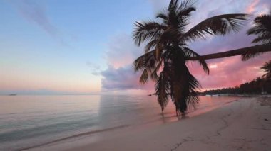 Hindistan cevizi palmiye ağaçları ile tropikal plaj üzerinde güzel gündoğumu. Punta Cana tatil köyü, Dominik Cumhuriyeti