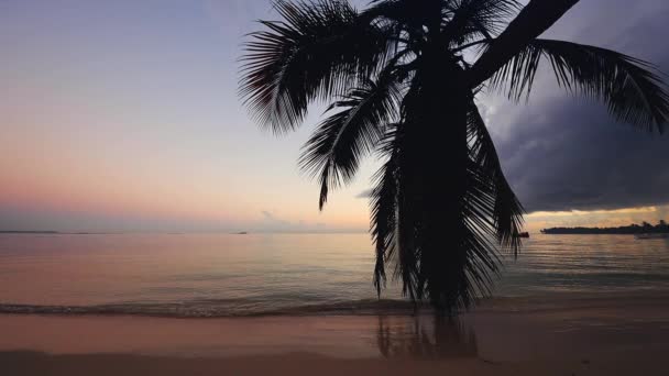 Egzotik Plaj Bulutlar Ile Gündoğumu Tropikal Gökyüzüne Karşı Hindistan Cevizi — Stok video
