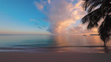 Tropik ada. Etrafında palmiyeler olan egzotik plaj. Tatil ve tatil konsepti.