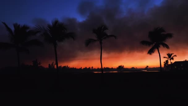 Campo Golf Isla Tropical Hermosa Puesta Sol Con Siluetas Palmeras — Vídeo de stock