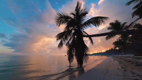 Екзотичний Пляж Кокосові Пальми Тлі Сходу Сонця Тропічного Неба Хмарами — стокове відео