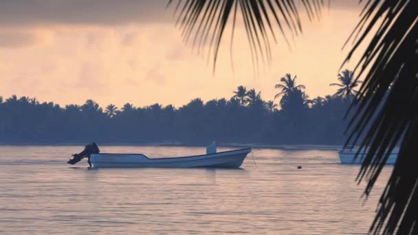 Скоростной Катер Карибской Морской Воде Доминиканская Республика — стоковое видео
