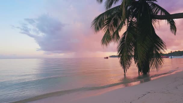 Hermoso Amanecer Sobre Playa Tropical Con Palmeras Coco Punta Cana — Vídeos de Stock