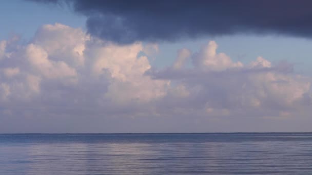 Mavi Gökyüzünün Altında Tropikal Deniz Dalgaları — Stok video