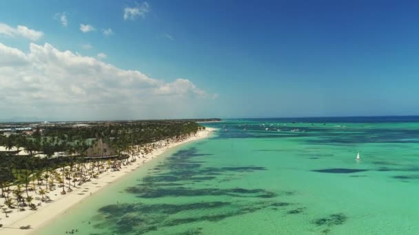 Filmagem Aérea Praia Tropical Caribenha Com Palmeiras Areia Branca Viagens — Vídeo de Stock