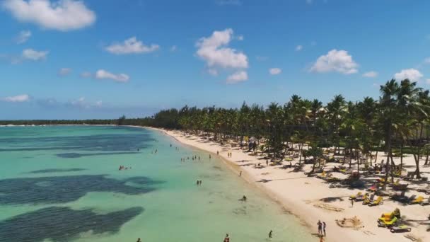 Palmiye Ağaçları Beyaz Kum Ile Tropikal Plaj Tesisi Havadan Görünümü — Stok video