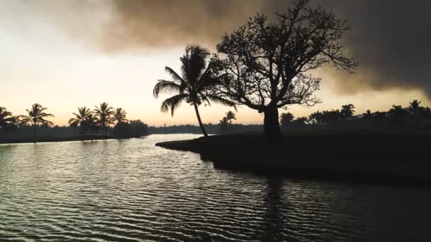 Golf Baan Lake Exotische Eiland Tropische Zonsondergang Met Palmbomen Silhouetten — Stockvideo