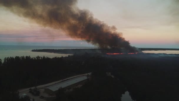 Вид Повітря Палаючий Вогонь Тропічних Джунглях Екзотичному Карибському Курорті Рятувальний — стокове відео