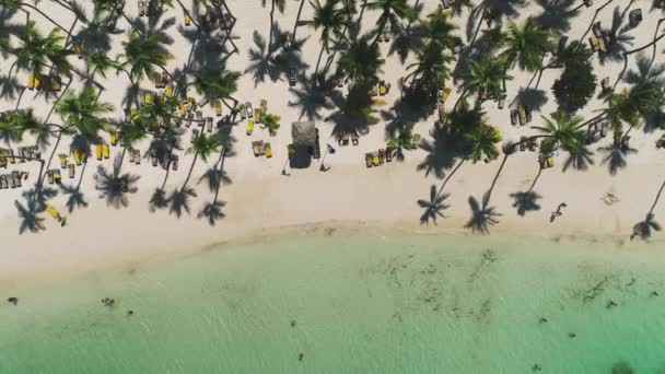楽園の島でココナッツヤシの木とセーリングボートと美しい熱帯のビーチとカリブ海の空中トップビュー — ストック動画