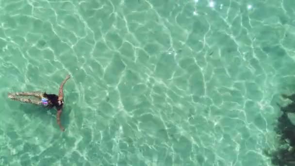 美丽的女孩在比基尼游泳在水晶般清澈 蓝色的加勒比海海水 空中无人机视图 多米尼加共和国 — 图库视频影像