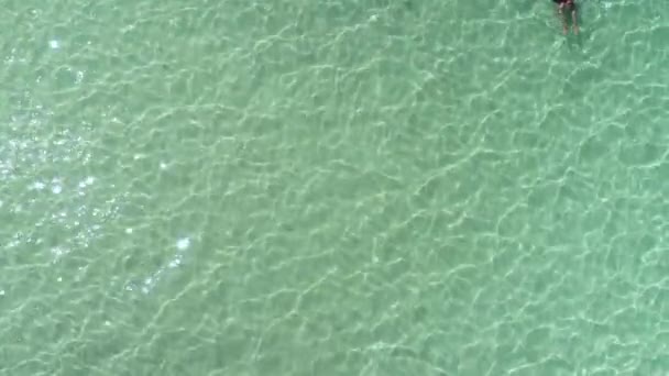 在多米尼加共和国蓬塔卡纳透明绿松石加勒比海游泳的美丽女人的鸟瞰图 夏天的海景与女孩 美丽的波浪 蔚蓝的水在阳光明媚的日子 — 图库视频影像