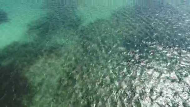 Bateaux Moteur Vitesse Naviguant Dans Eau Mer Des Caraïbes République — Video