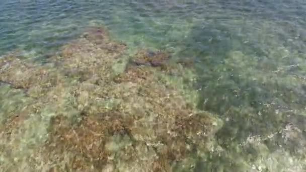 Playa Tropical Caribeña Mar Caluroso Día Verano — Vídeo de stock