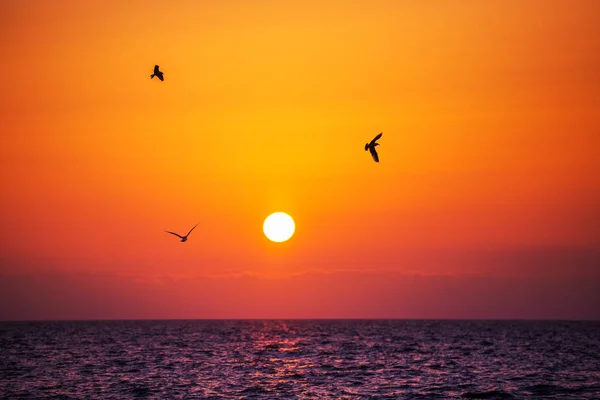 Nascer do sol e ondas brilhantes no oceano — Fotografia de Stock