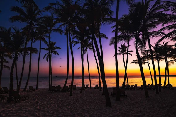 Silueta palmových stromů na tropické pláži po východu slunce — Stock fotografie
