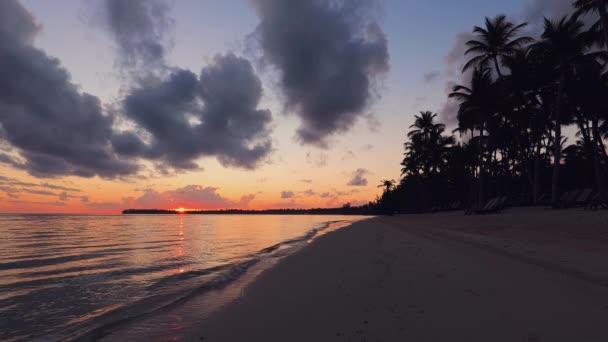 Paisaje Paradisíaca Playa Isla Tropical Hermoso Amanecer Punta Cana República — Vídeos de Stock