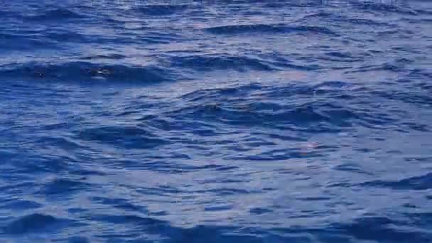 自然の背景としてカリブ海の海水と波紋波 オープンウォーターでのセーリング — ストック動画