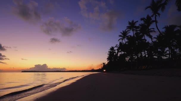 Ilha Exótica Belo Nascer Sol Praia Manhã Peravia República Dominicana — Vídeo de Stock