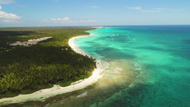 Luftaufnahme Der Insel Saona Dominikanische Republik Tropische Landschaft Palmen Karibik — Stockvideo