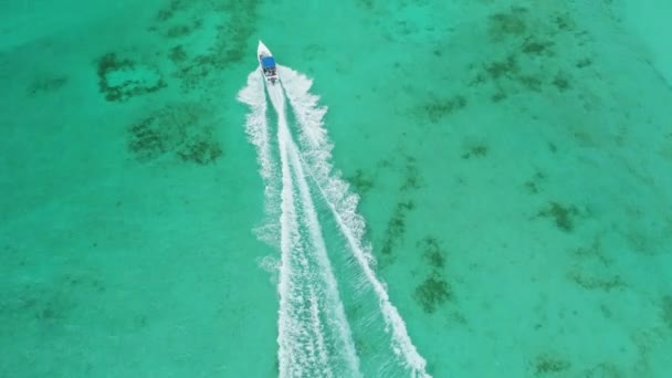 海のカタマラン ヨットおよびスピードボートを航海する カリブ海上空の眺め — ストック動画