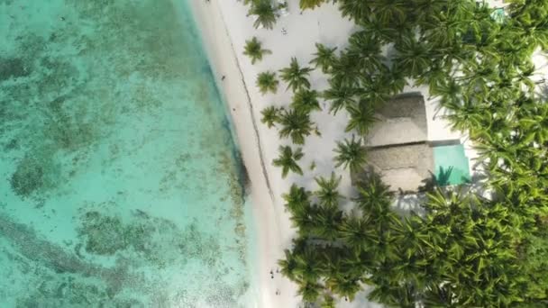 Vista Aérea Resort Caribenho República Dominicana Ilha Saona — Vídeo de Stock