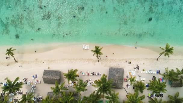 Isla Saona Mar Caribe República Dominicana Vista Aérea Del Dron — Vídeo de stock