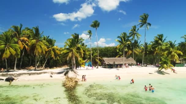 カリブ海の楽園の島 熱帯のエキゾチックな野生のビーチを楽しむ幸せな人々 — ストック動画