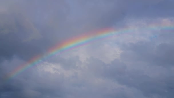 Arcobaleno Nel Cielo Dopo Pioggia Estiva Tropici — Video Stock