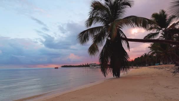 Vacker Soluppgång Över Den Tropiska Stranden Och Exotiska Palmträd — Stockvideo